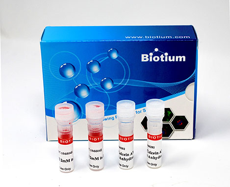 Biotium Cell Viability and Cytotoxicity Kit